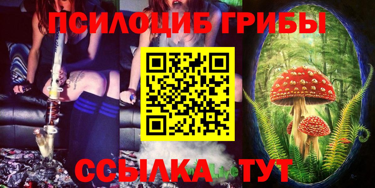 Медногорск  Псилоцибиновые грибы MAGIC MUSHROOMS  Вход с VPN  купить   Псилоцибиновые грибы GOLDEN TEACHER 