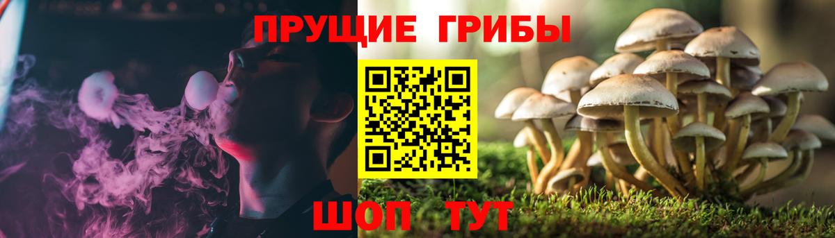 Галлюциногенные грибы Magic Shrooms Медногорск